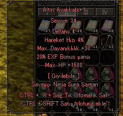 20 EXP 1.5K HP ALTIN AYAKKABI 30 TL