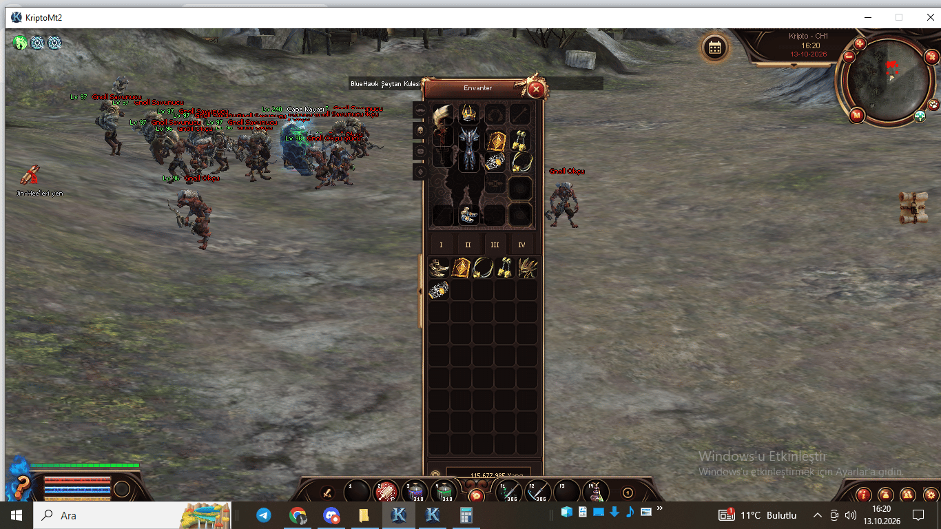 8.2 HASARLI SURA VE WSLİK İTEMLER-PETLER