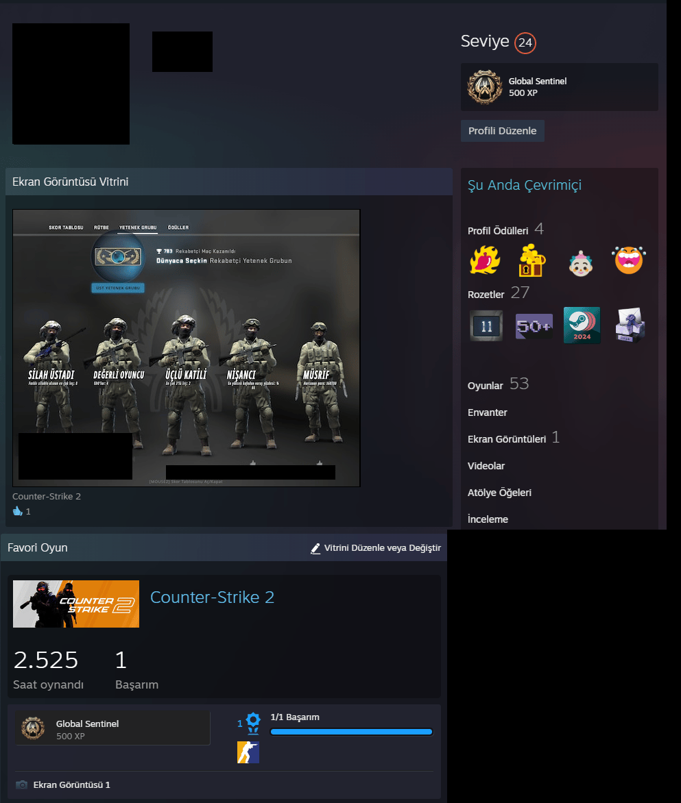 11 YILLIK STEAM HESABIM 2.500 SAAT CS2 ESKI GLOBAL
