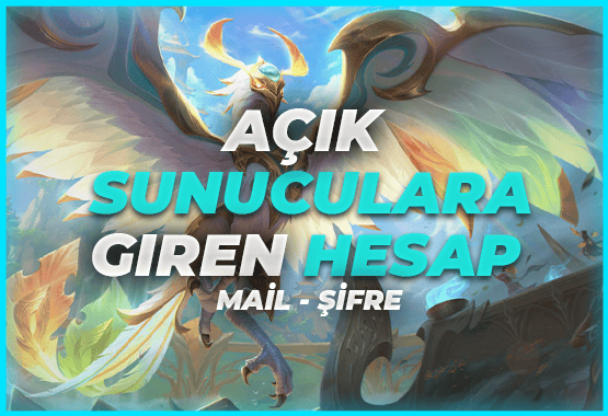 2 ADET 12 ID BAZALT ONYX SUNUCUSUNA GİREN HESAP MAİL ŞİFRE