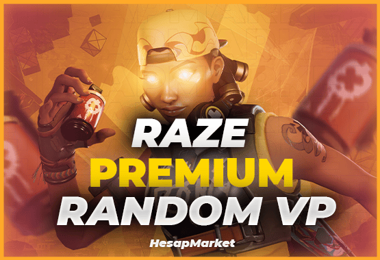 VALORANT PREMIUM RANDOM VP