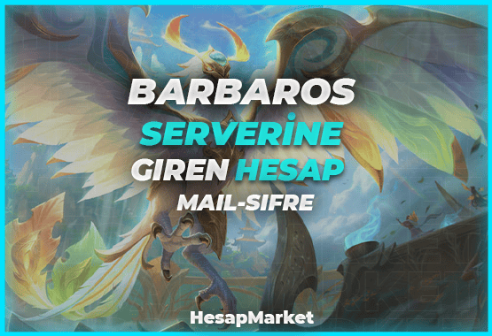 2 ADET 15 ID BARBAROS SUNUCUSUNA GİREN HESAP MAİL ŞİFRE