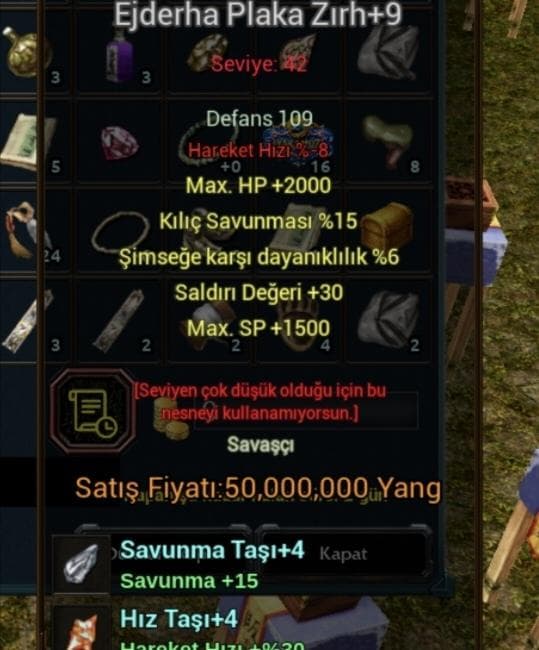 +9 EJDER PLAKA 2K HP 15 KILIÇ 30 STR 4 TAŞ