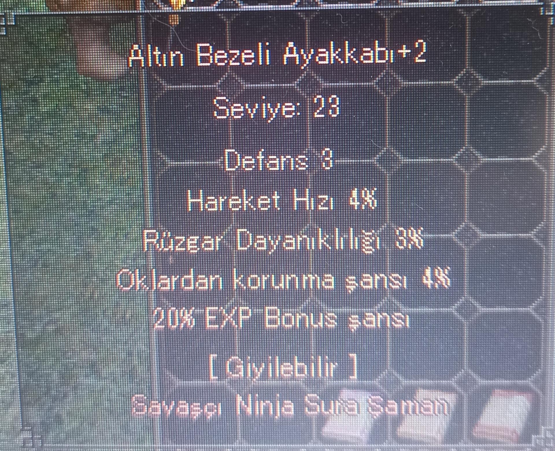 20 exp bonuslu 23 level ayakkabı