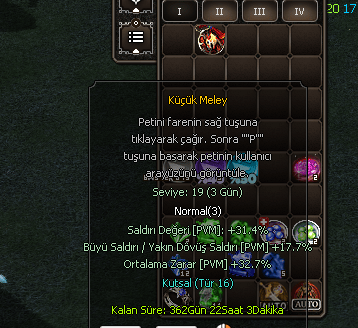 TİP16 PET