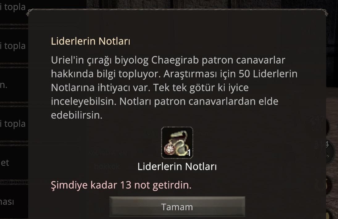 91 lvl zihinsel 4 p 1 g 4 bugünde özel fiyat