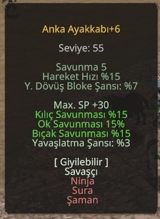 2 G li ws lik iç itemli zihinsel 55lv