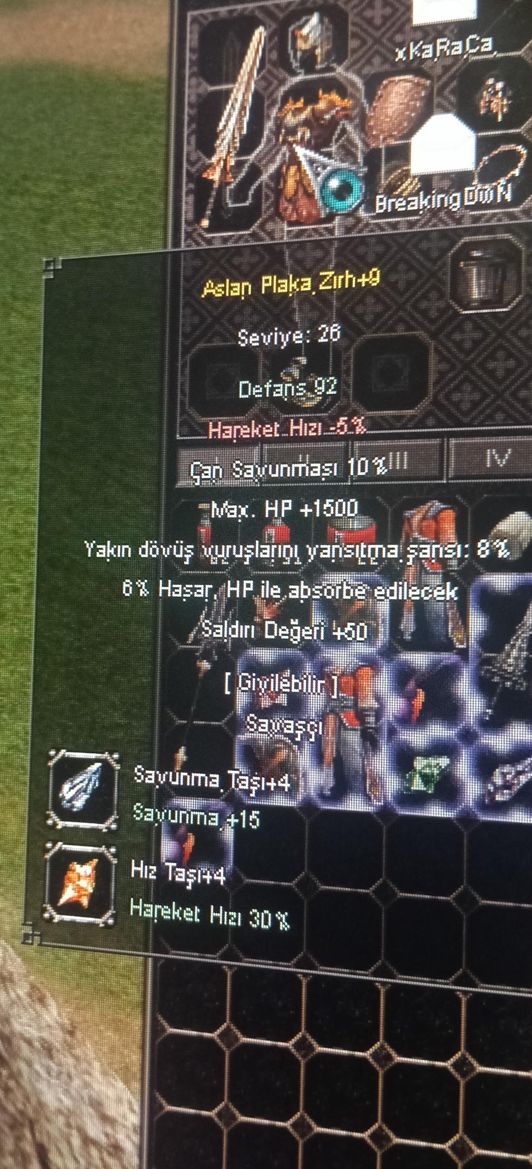 +9 TATLI ASLAN PLAKA