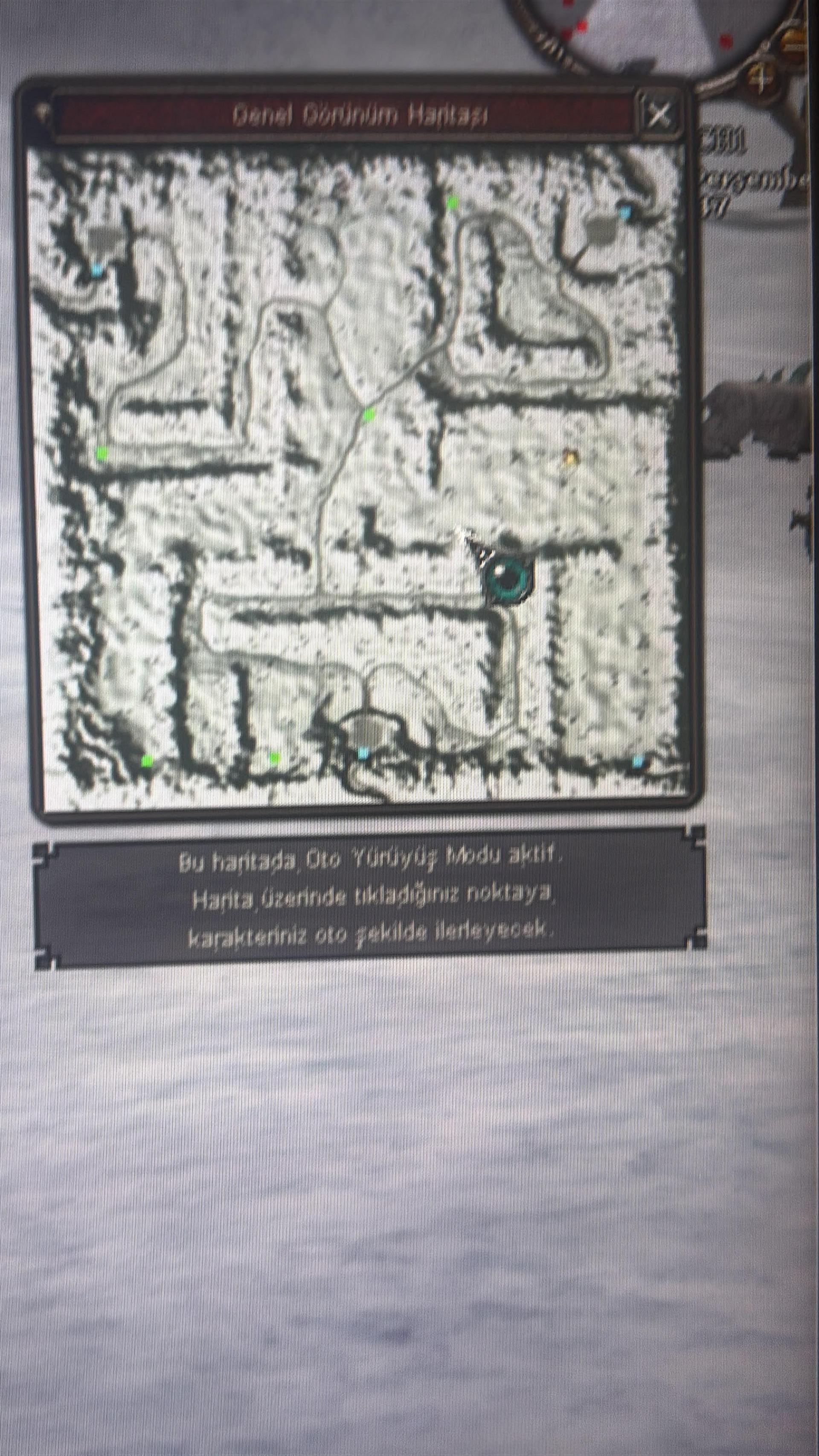 11 TL DEN 250M ALINIR
