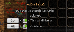 KOSTUM SANDIĞI