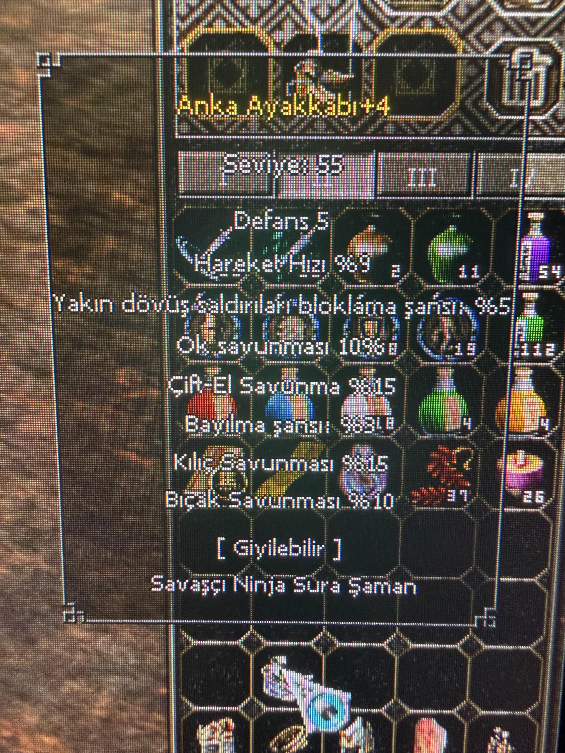 ELİT ANKA AYAKKABI