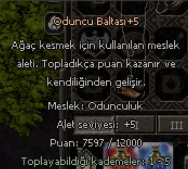 +5 ODUNCU BALTASI OYUN SONU İTEMİ TOPLAYICILIK İÇİN