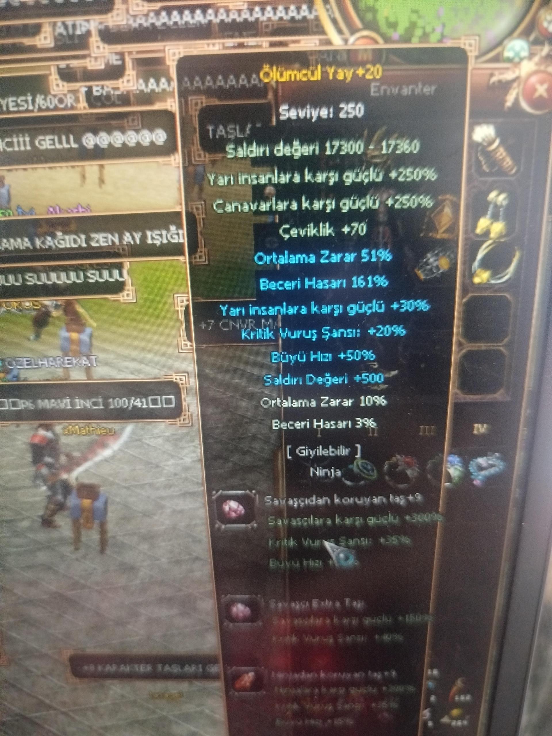 +20 wslik tasli yay