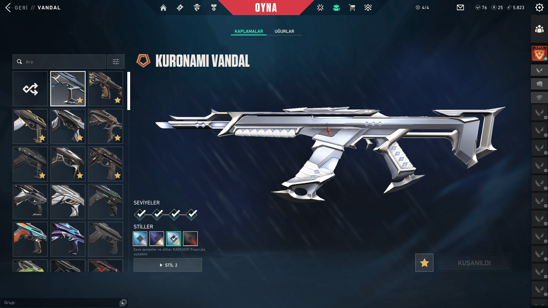 338 LV PLAT 2 HESAP