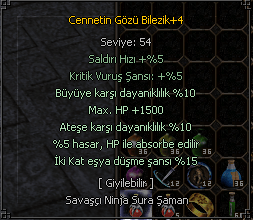 DOYUMLUK CENNET BİLEZİK AYAZ 2