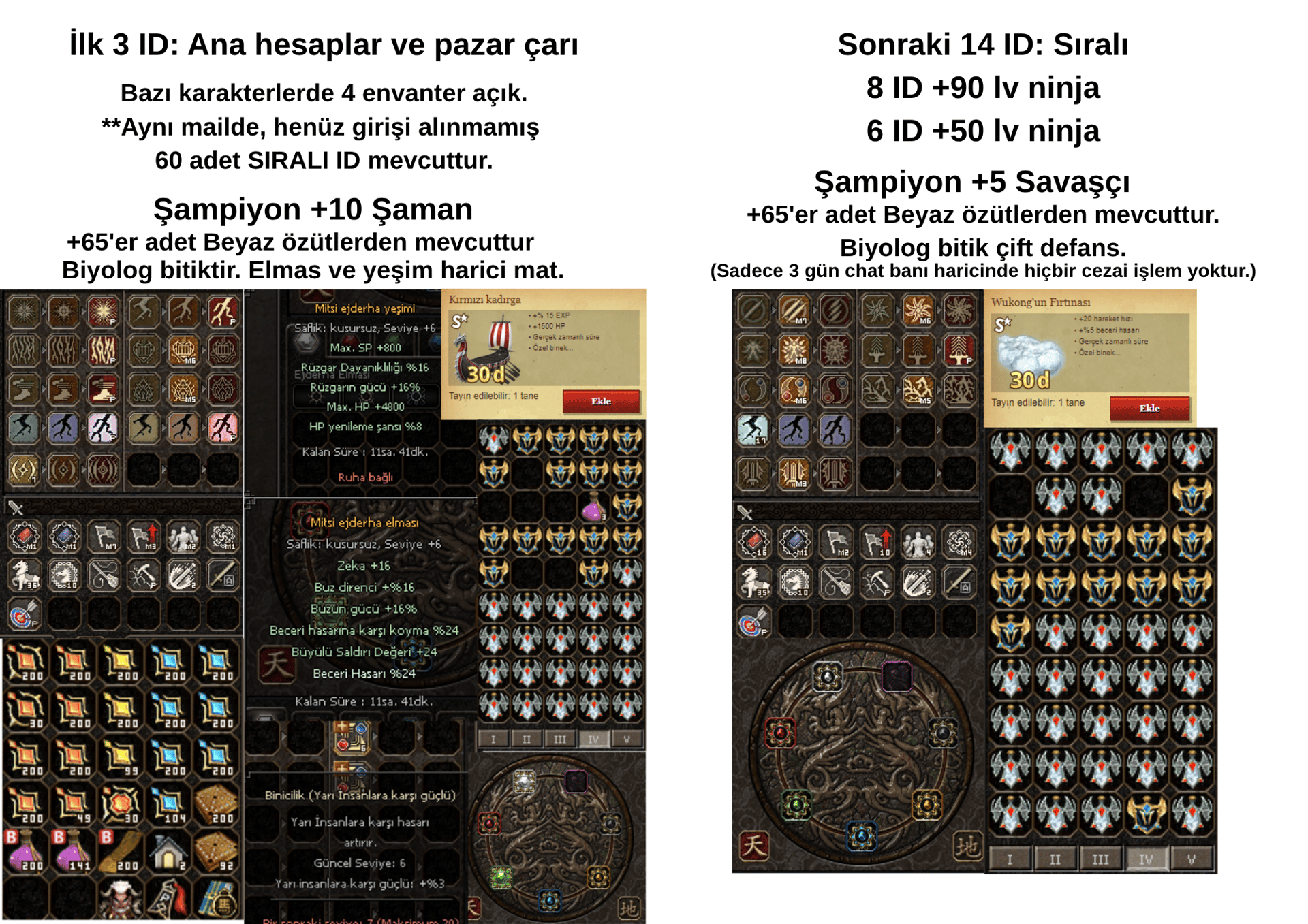 17 ID - SİMYALI ŞAMP +10 ŞAMAN - ŞAMP 5 MAT SET BEDENSEL "MESAJ AT"