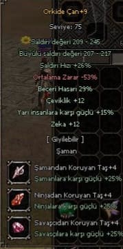 29 BECERİ YARI ZEKA ÇEVİKLİK ORKİDE
