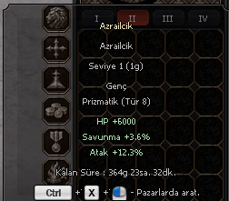 TİP 8 ELİT 12.3 ATAK BAŞLANGIÇ PET BUYURUN