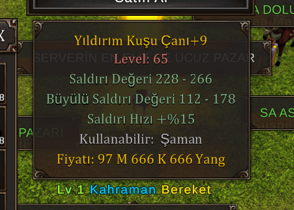 +9 yıldıırm kuşu