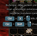 2 adet ESKRİM  500 TL