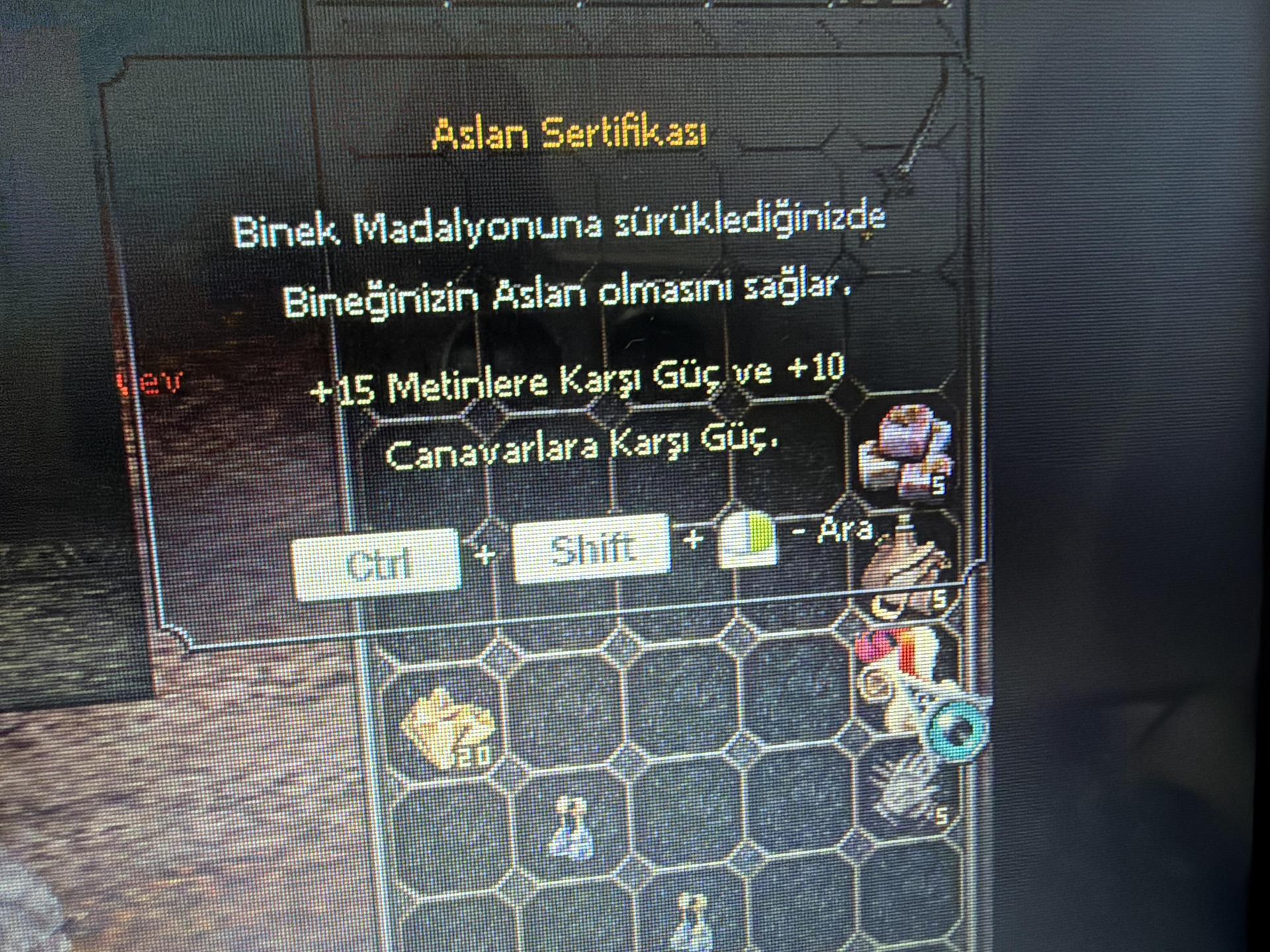 ASLAN SERTİFİKASI 15 METİN 10 CANAVARLI