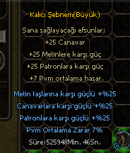 Kalıcı Şebnem Büyük