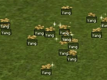 900M