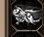 FARM KEMERİ +9 PVM ORT 15 PVM HASAR 14