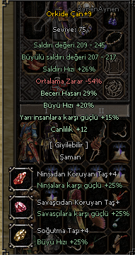 29 orkide