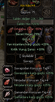 29 TAM KİN