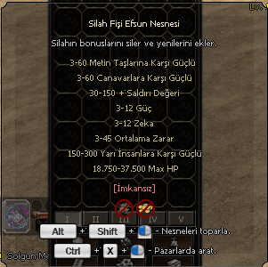 SİLAH FİŞİ EFSUN