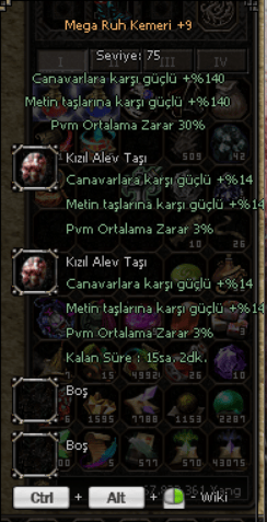 +9 MEGA RUH KEMERİ DELİKLİ