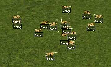 5 KT YANG 450 TL