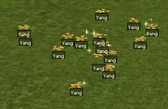 40 KT YANG 300 TL