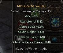 61 LWL WS LİK ZİHİNSEL