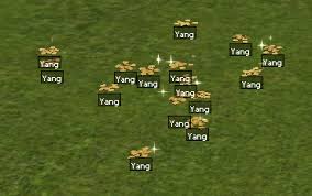 120 M YANG