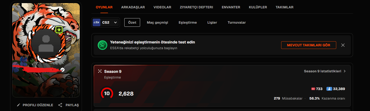 FACEIT 10 LVL 2600 ELO VERIFIED