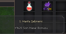 1. MAPE HASAR ŞEBNEMİ