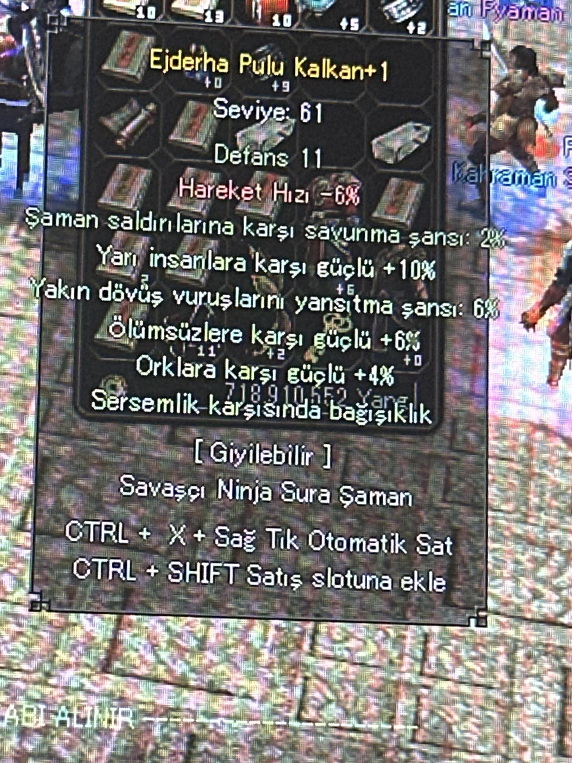 Ejderha Pulu Kalkan Sersem 10 Yarı