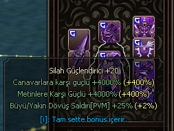 +20 güçlendirici set