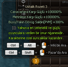 Ustalık rozeti 3.seviye