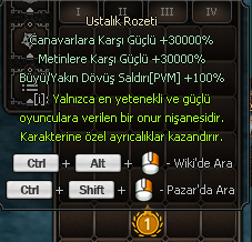 ustalık rozeti 1.seviye