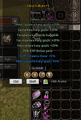+9 YAKUT SET HEPSİNDE 5PVM 5 METİN VAR 6 PARÇA İTEM