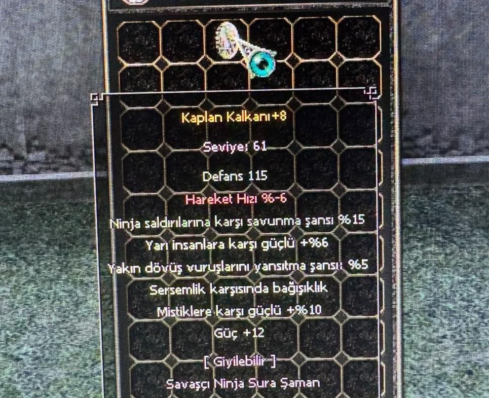 +8 WS LİK KAPLAN KALKAN