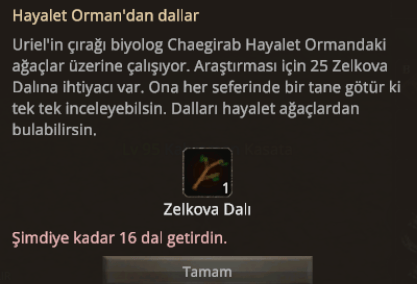 95LV SURA Mail onaysız