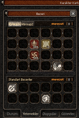 45 LVL 2 G SKILLI KUTSAMACI ŞAMAN 1199 TL