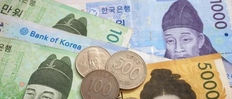 Dandanakan 1000 Won - 8.250 TL - Hemen Teslim