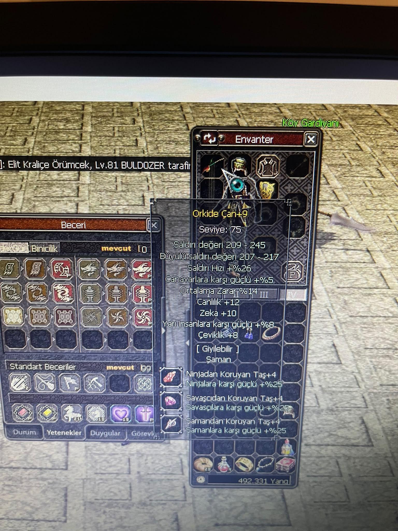 +9 orkide