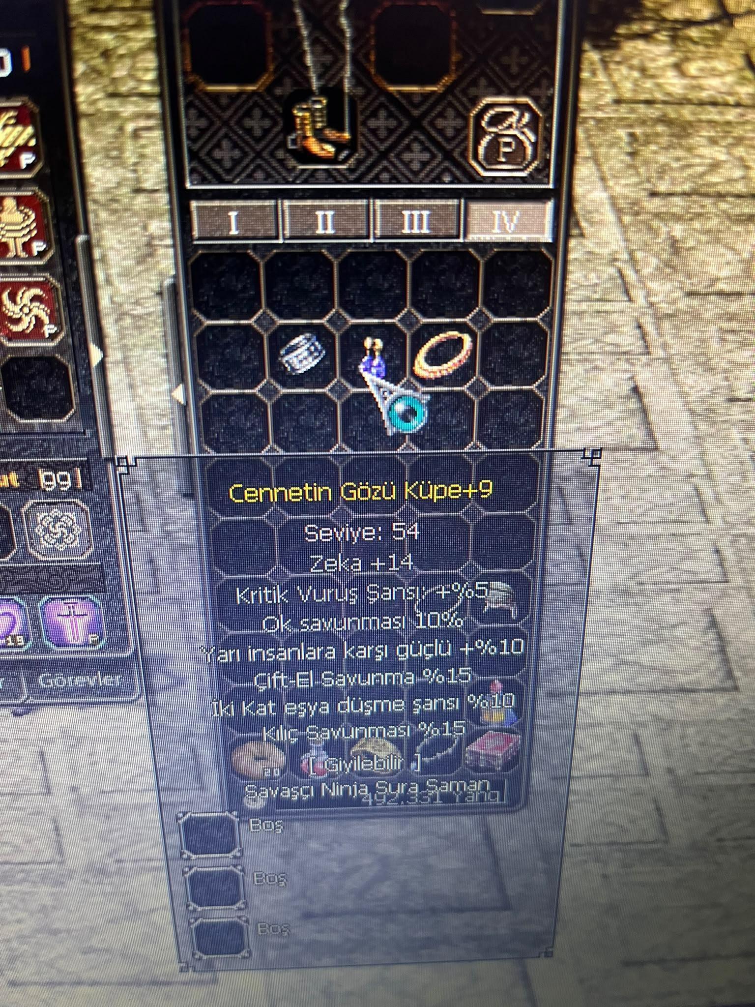 +9 Cennet küpe