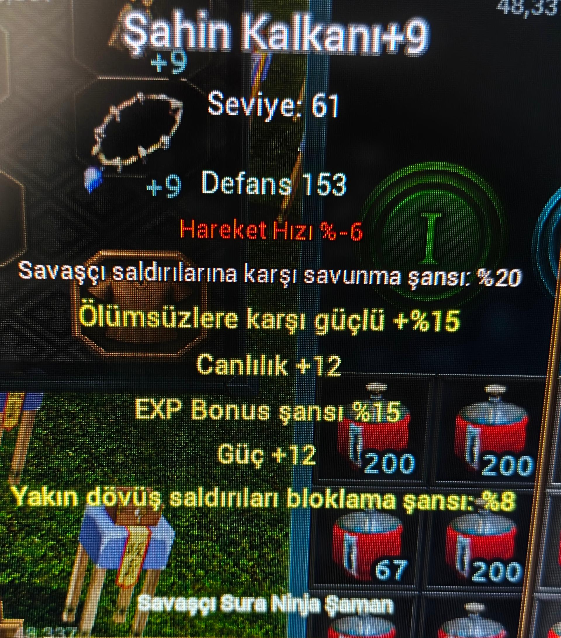 +9cennet kolye, +9şahin kalkan, +7 anka